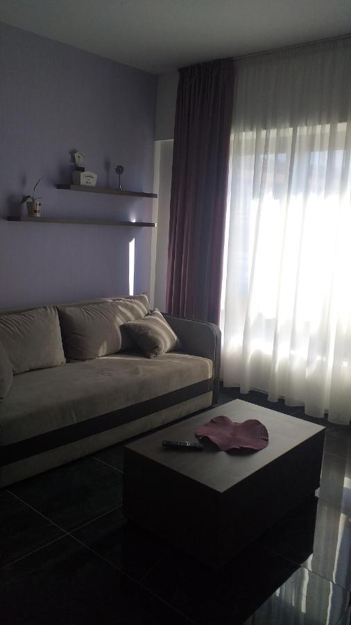 Ferienwohnung Dream House Kruševac Exterior foto